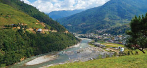 geotropy news 16.5.25